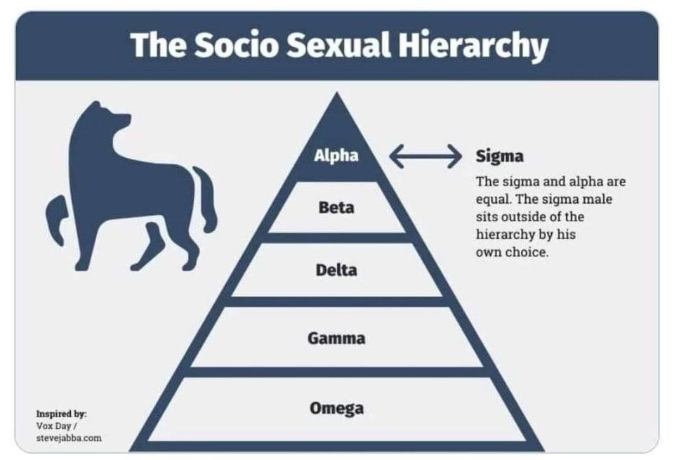 Who Are Sigma Males - true facts