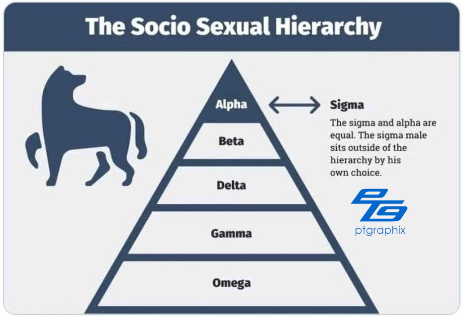 Sigma Male, outside the common hierarchy.